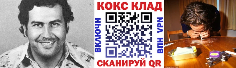 COCAIN Fish Scale  Купить закладки  Беломорск 
