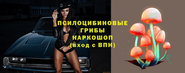 гидропоника Бронницы