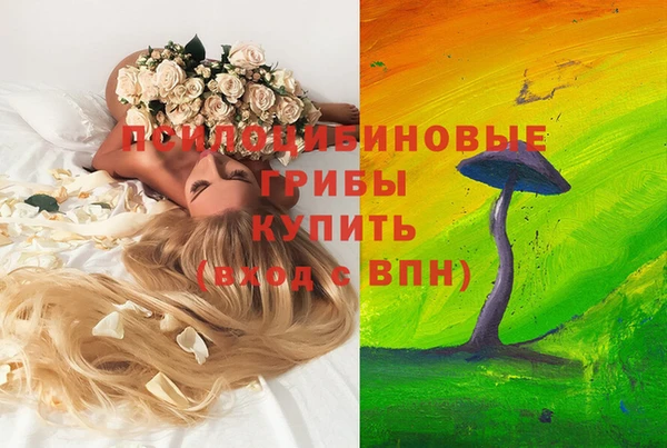 гидропоника Бронницы
